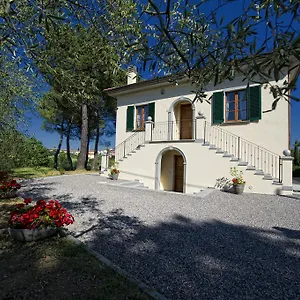 Tancredi , Foiano Della Chiana Italia